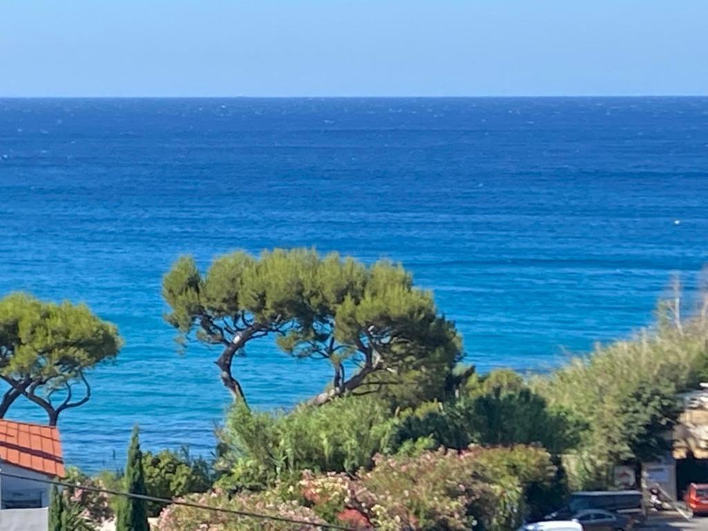 Face A La Mer, Cassis Et Son Cap Canaille Екстер'єр фото
